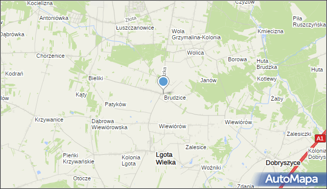 mapa Brudzice, Brudzice na mapie Targeo